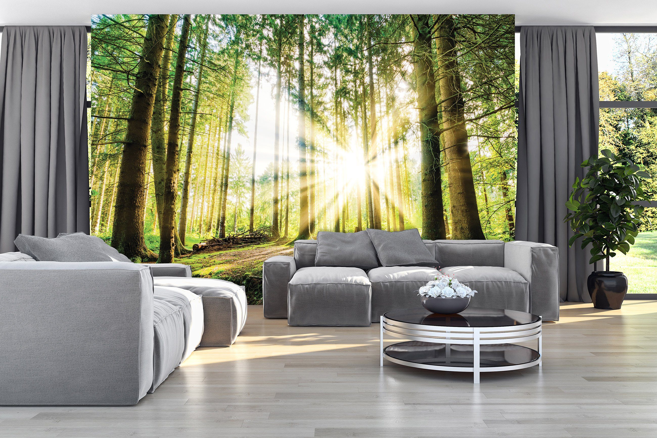 Wallarena Fototapete Wald Sonne Sonnenwald Natur 3D EFFEKT Wohnzimmer Schla günstig online kaufen