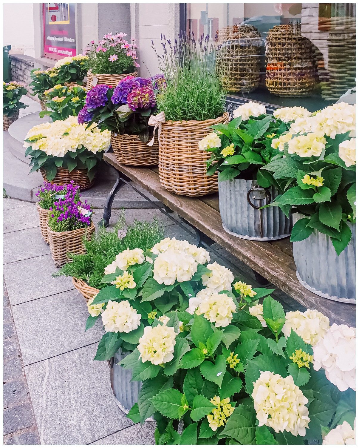 Wallario Poster, Blumenladen mit Hortensien, in verschiedenen Ausführungen
