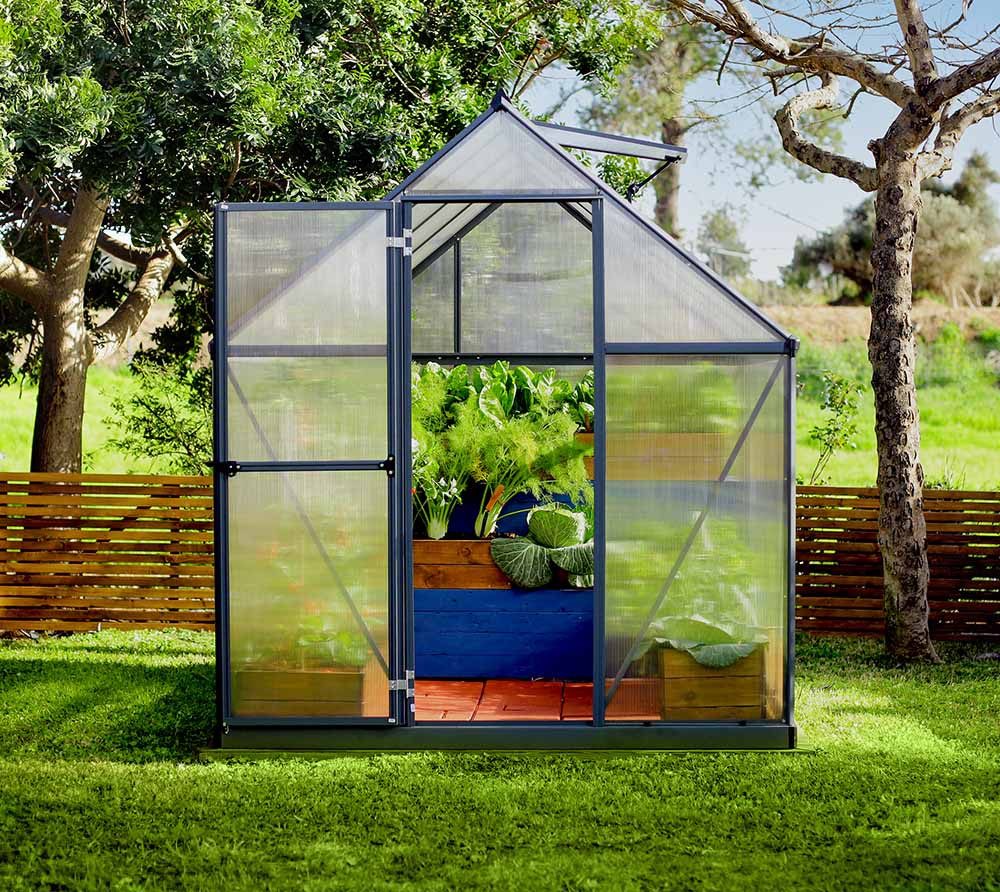 Palram - Canopia Gewächshaus, x 208  | ...
