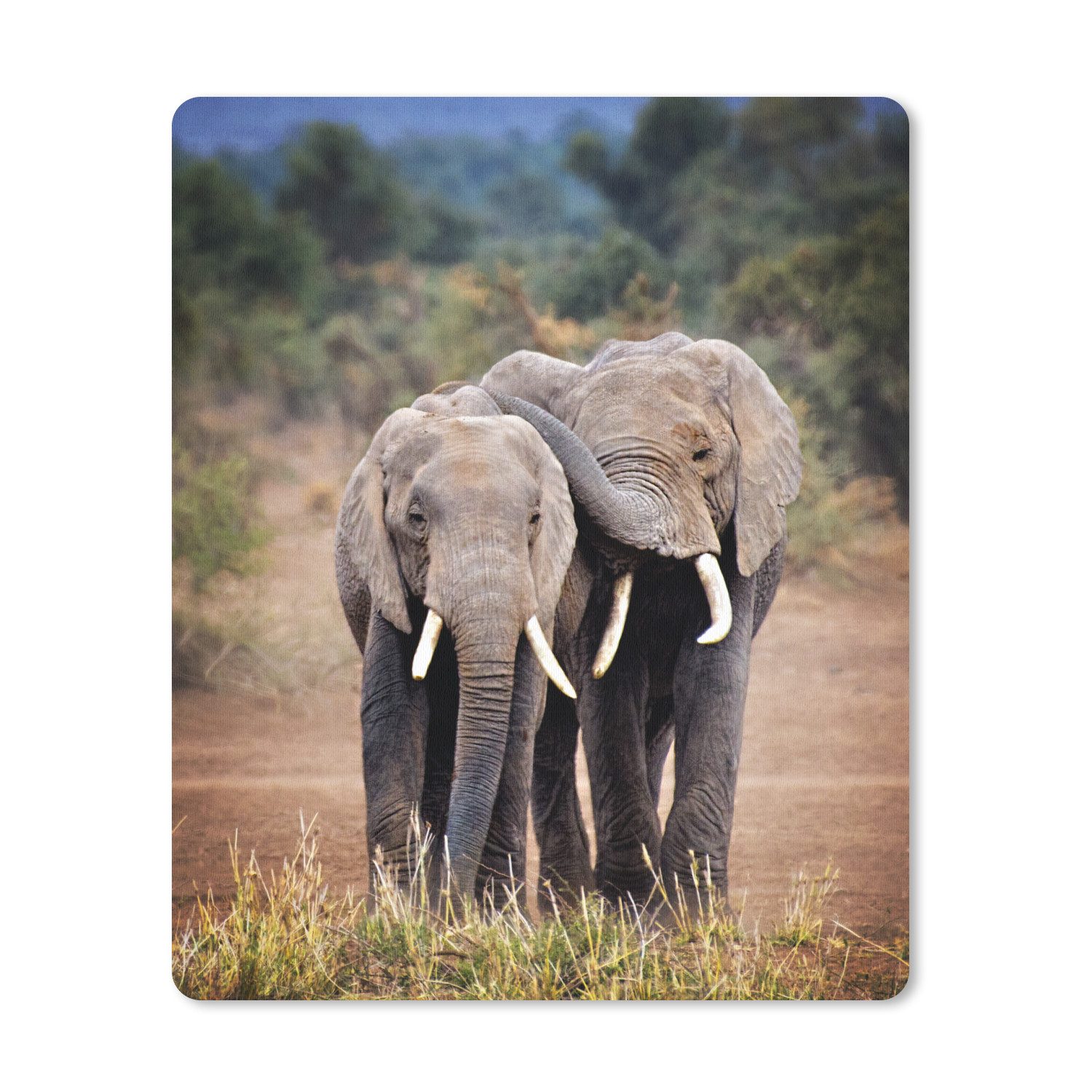 MuchoWow Mauspad Elefant - Tiere - Bäume - Natur (1-St), Gaming, Mousepad Klein, Büro Zubehör, Mausunterlage, 19x23 cm