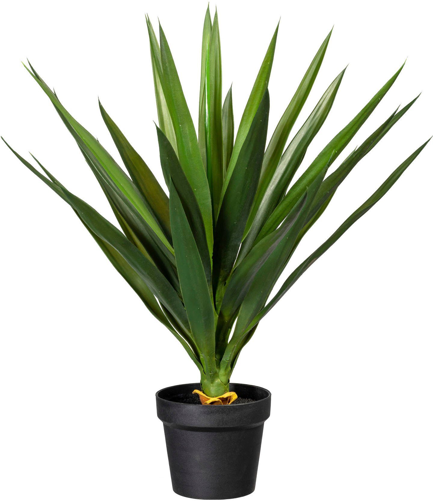 Künstliche Zimmerpflanze Yucca Yucca, Creativ green, Höhe 70 cm