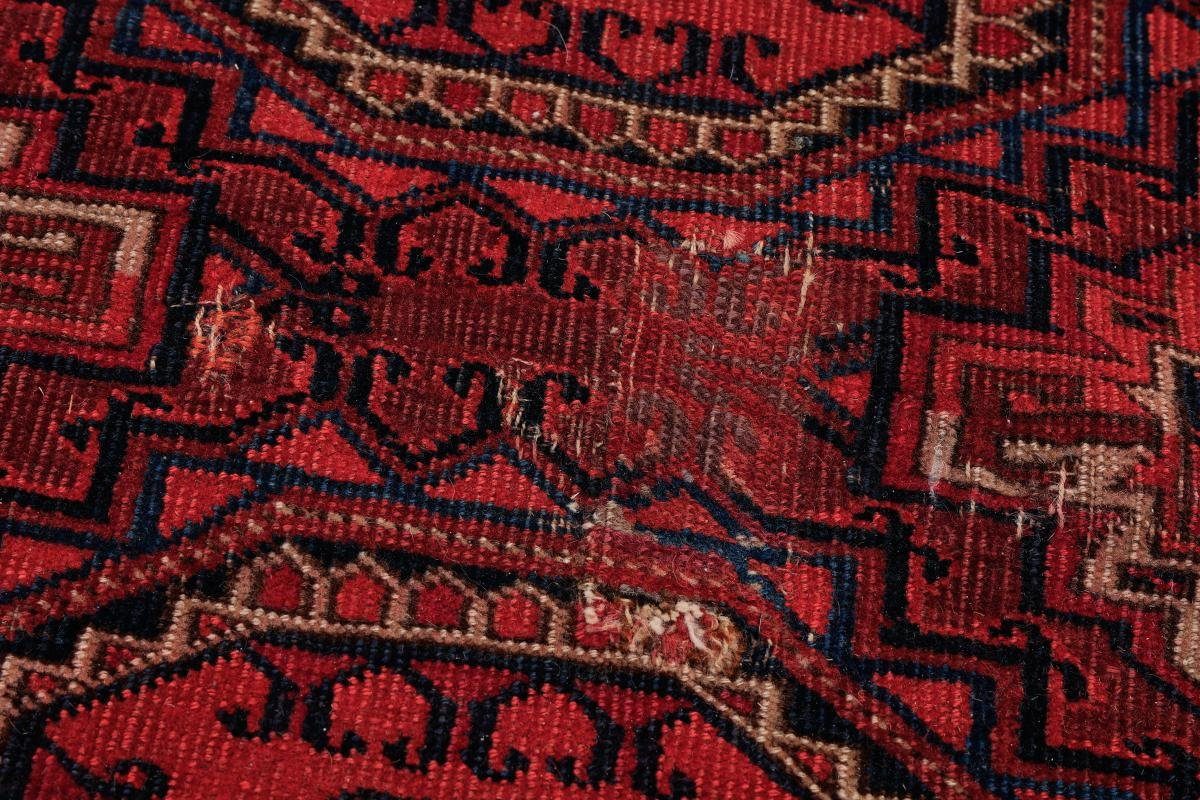Handgeknüpfter Afghan Orientteppich, mm Nain 254x261 Trading, Buchara rechteckig, Höhe: 5 Orientteppich