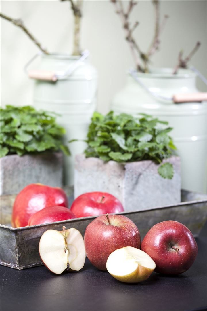 Pflanzen für Dich Obstpflanze Malus 'Braeburn', 1 St., Braeburn-Apfel, Apfelbaum, rot-grün, saftig-süß – Bild 5 von 5