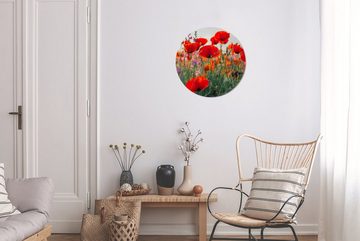 MuchoWow Wandsticker Mohn - Blumen - Rot - Lila - Wiese (1 St), Tapetenkreis für Kinderzimmer, Tapetenaufkleber, Rund, Wohnzimmer