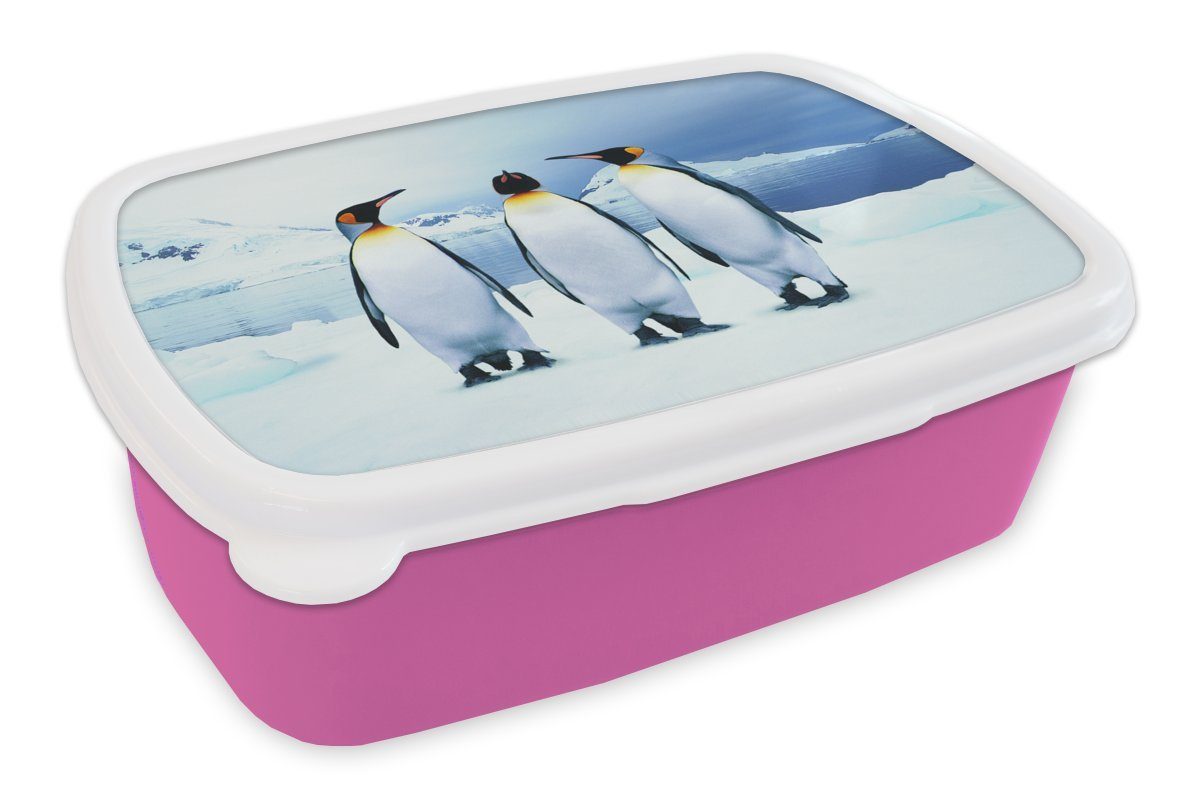 MuchoWow Lunchbox Drei Pinguine Porträt, Kunststoff, (2-tlg), Brotbox für Erwachsene, Brotdose Kinder, Snackbox, Mädchen, Kunststoff rosa