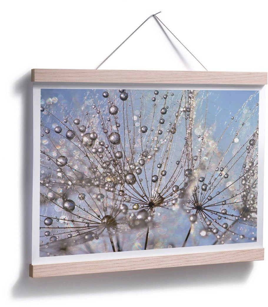 St) (1 Pusteblume, Wall-Art Poster Blumen Wassertropfen