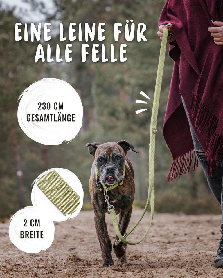 Thumbnail - Rudelkönig Hundeleine Frida 2,30m, Verstellbare Hundeleine große Hunde, Robuste Führleine, Nylon (1-tlg), Hunde Leine fü...