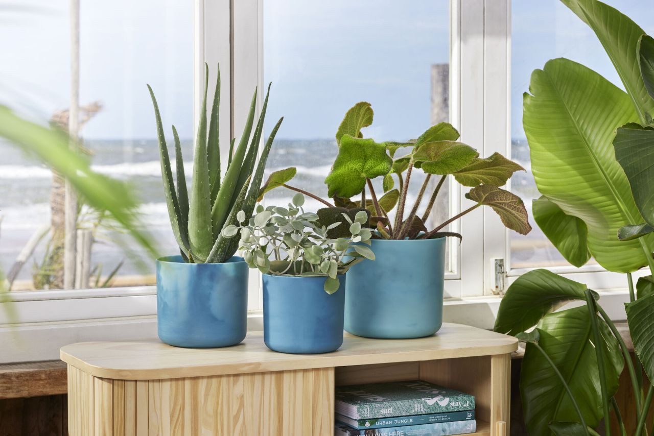 Elho Blumentopf Elho Übertopf The Ocean Collection Ø 16 x 15 cm günstig online kaufen