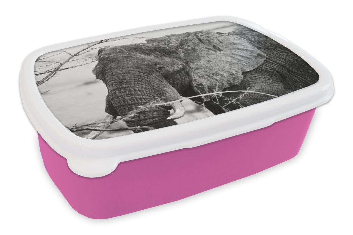 MuchoWow Lunchbox Elefant - Tiere - Äste - Natur - Schwarz und weiß, Kunststoff, (2-tlg), Brotbox für Erwachsene, Brotdose Kinder, Snackbox, Mädchen, Kunststoff rosa