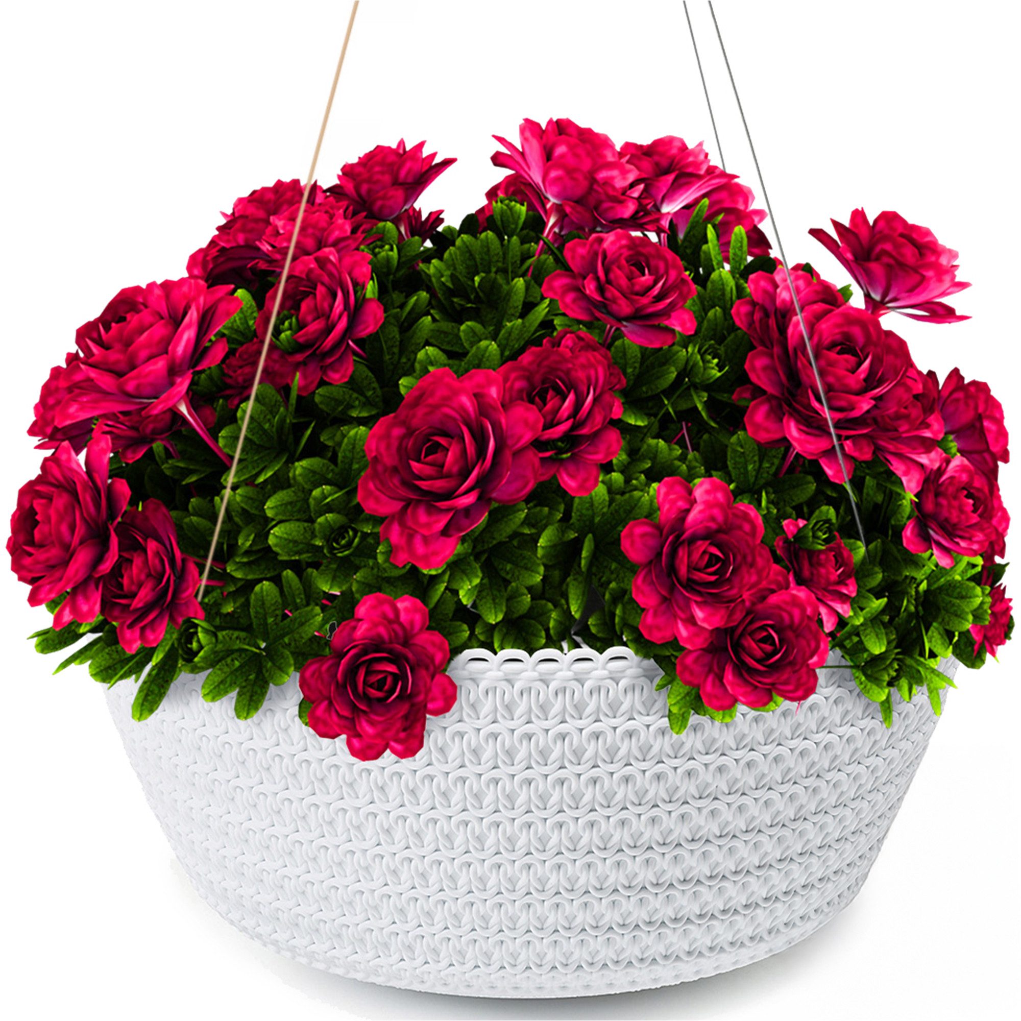 KONZEPT Blumenampel Hängend für Innen und günstig online kaufen