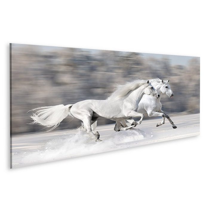 islandburner Leinwandbild Bild auf Leinwand Zwei Weiße Pferde Im Winter Run Gallop Schnelle Wan