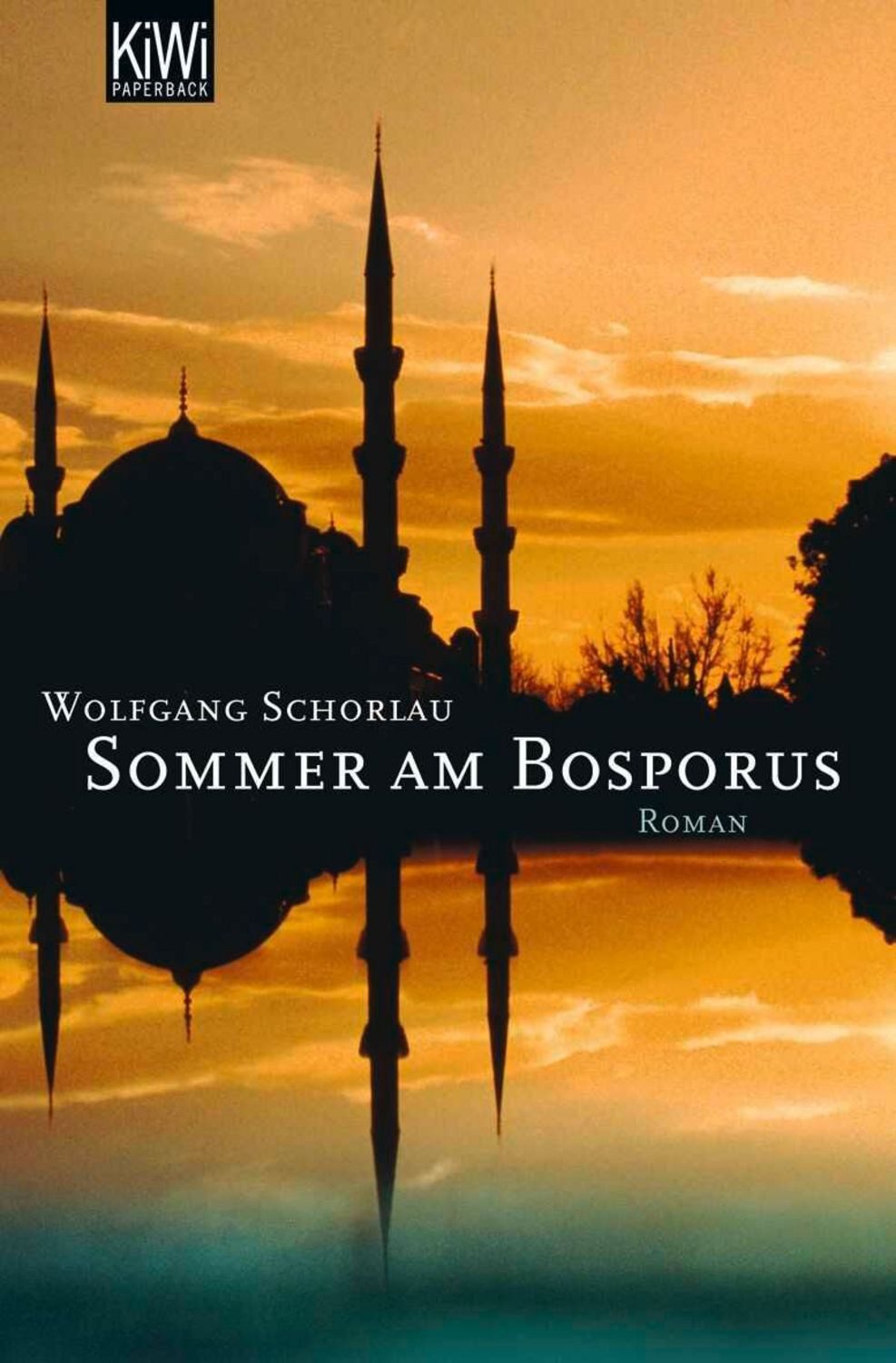 Sommer am Bosporus / Wolfgang Schorlau