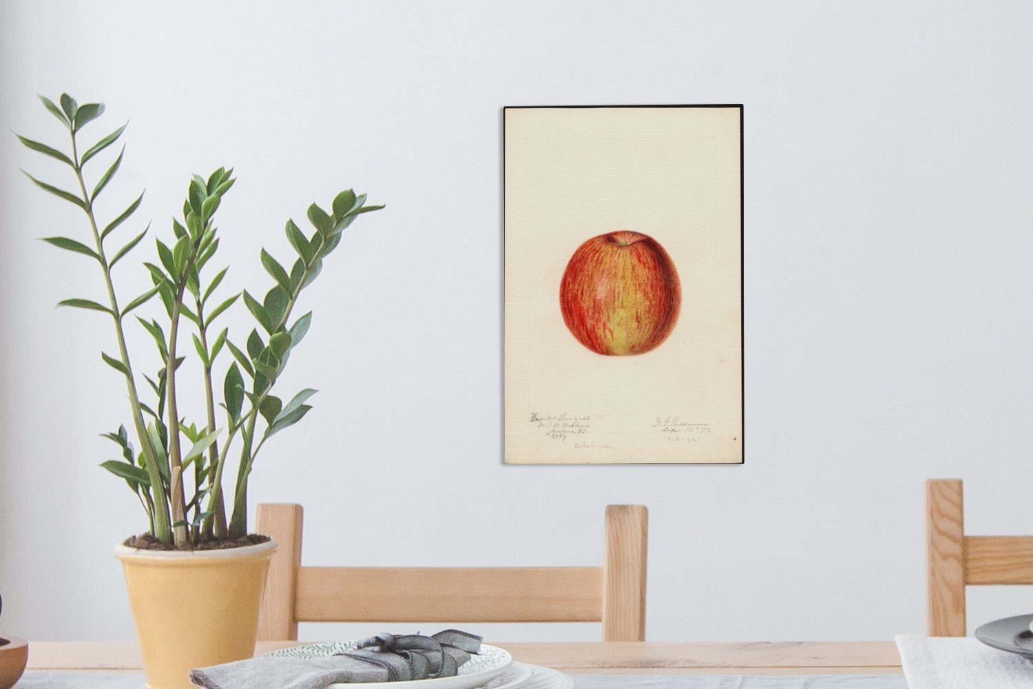 OneMillionCanvasses® Leinwandbild Apfel - 20x30 bespannt Gemälde cm Passmore, (1 Deborah Leinwandbild inkl. Griscom Gemälde, St), Zackenaufhänger, fertig von