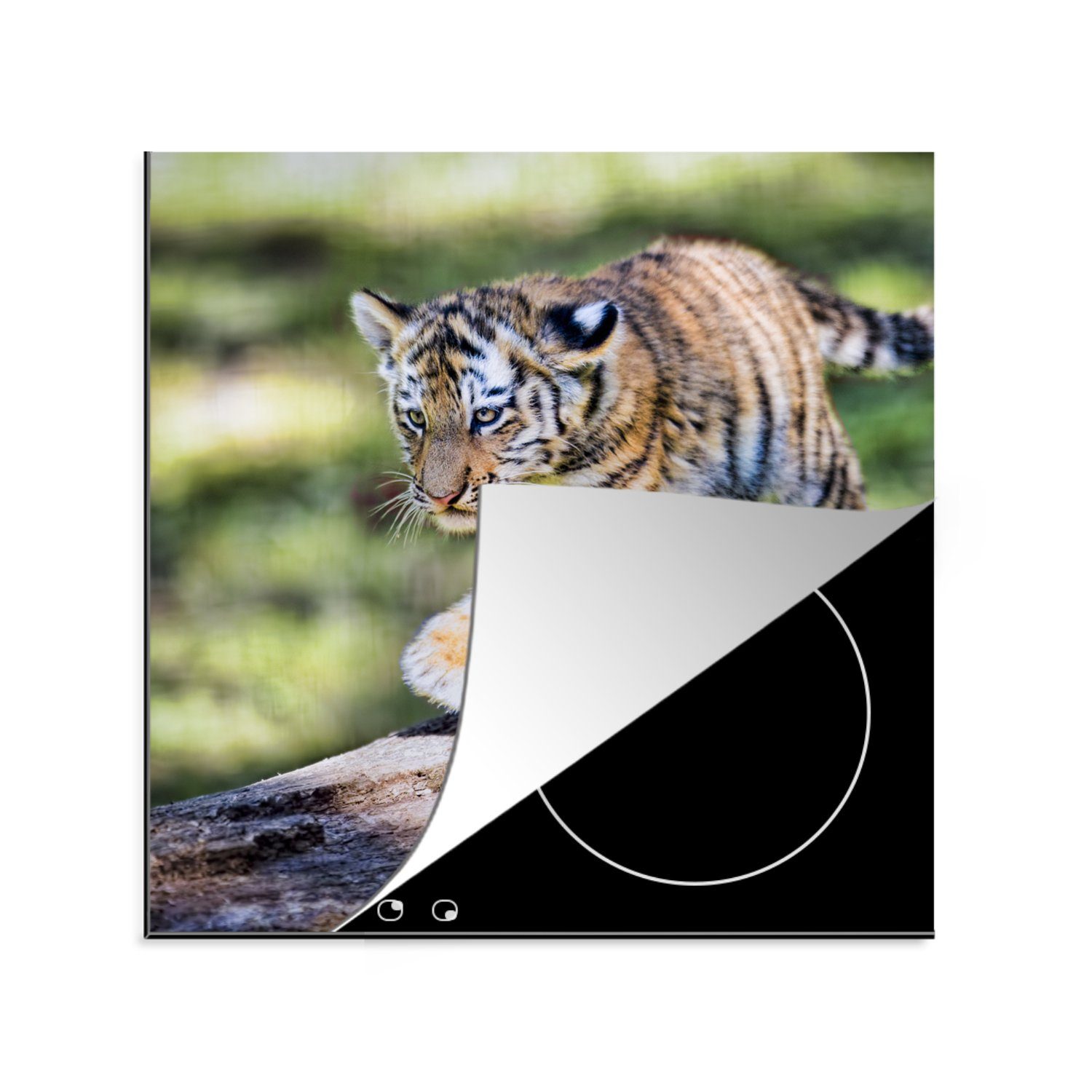 MuchoWow Herdblende-/Abdeckplatte Junger Tiger läuft auf einem Baumstamm, Vinyl, (1 tlg), 78x78 cm, Ceranfeldabdeckung, Arbeitsplatte für küche