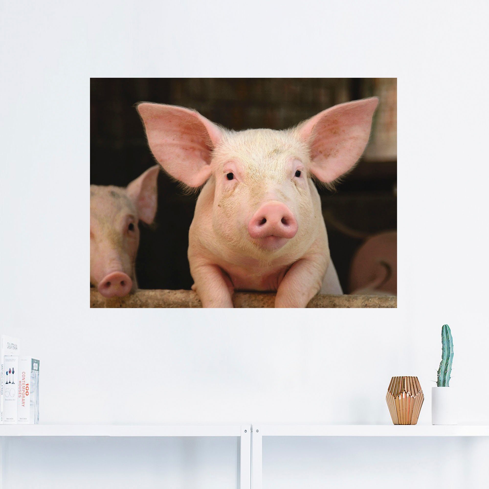 Artland Wandbild Vorwitziges Schwein, Wandaufkleber oder Haustiere (1 in versch. Alubild, Poster St), als Leinwandbild, Größen