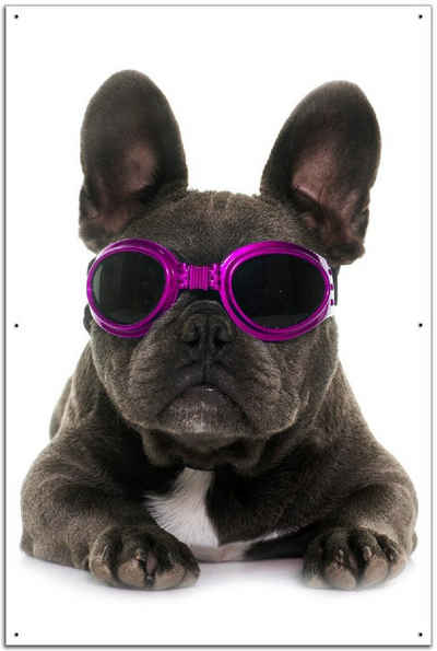 Wallario Sichtschutzzaunmatten Cooler Hund mit Sonnenbrille in pink - Französische Bulldogge