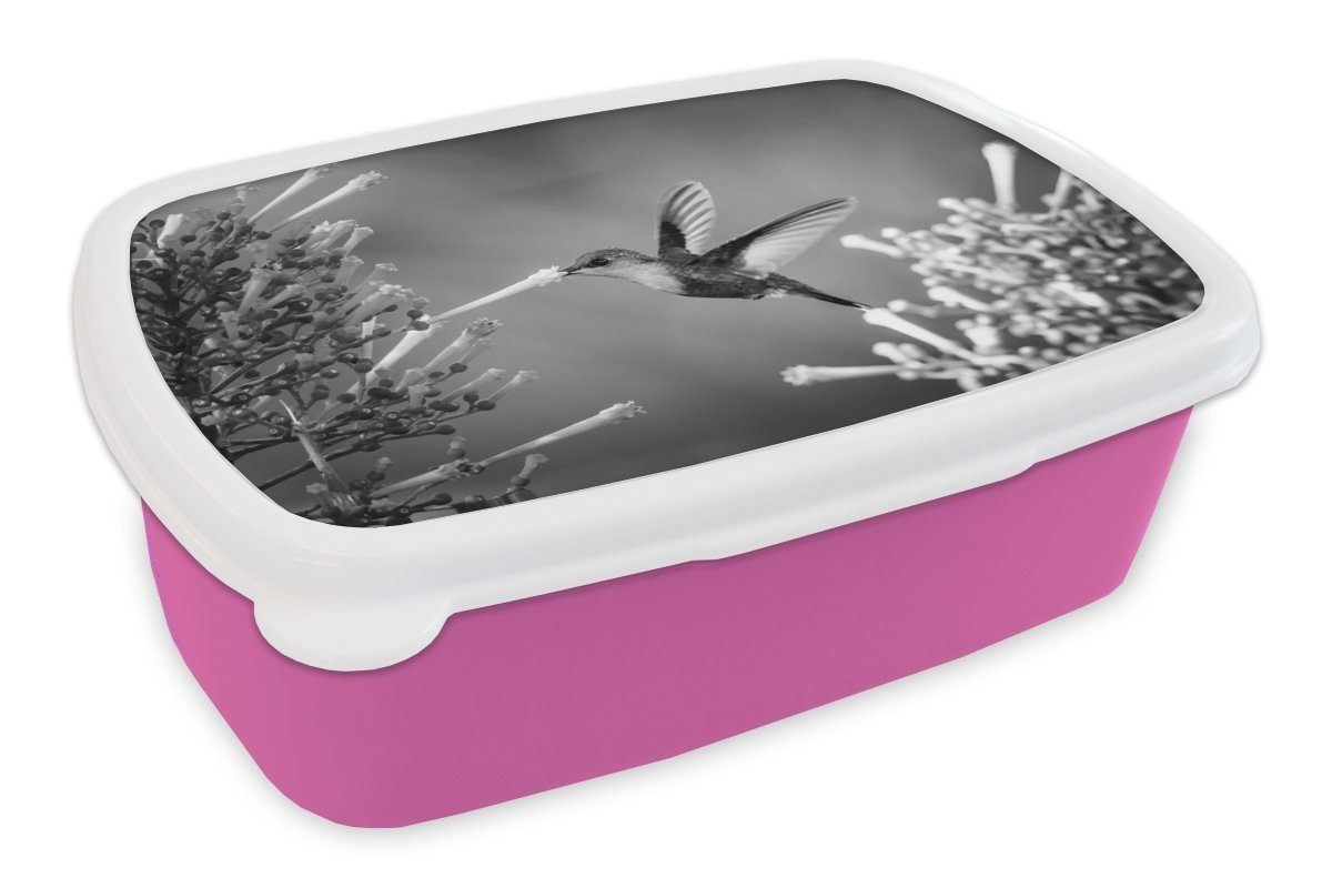 MuchoWow Lunchbox Purpurscheitel-Waldnymphe im Snackbox, in, Kunststoff, von Brotbox Mädchen, Kunststoff Kinder, Nationalpark für rosa Rica (2-tlg), Erwachsene, Brotdose Costa