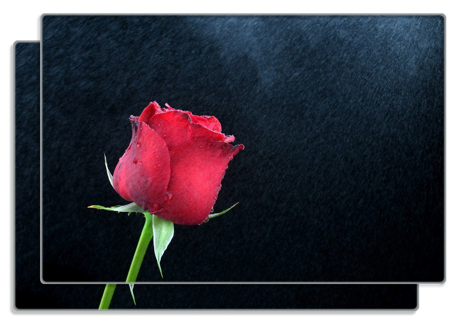 Frühstücksbrett Rose vor dunklem Hintergrund