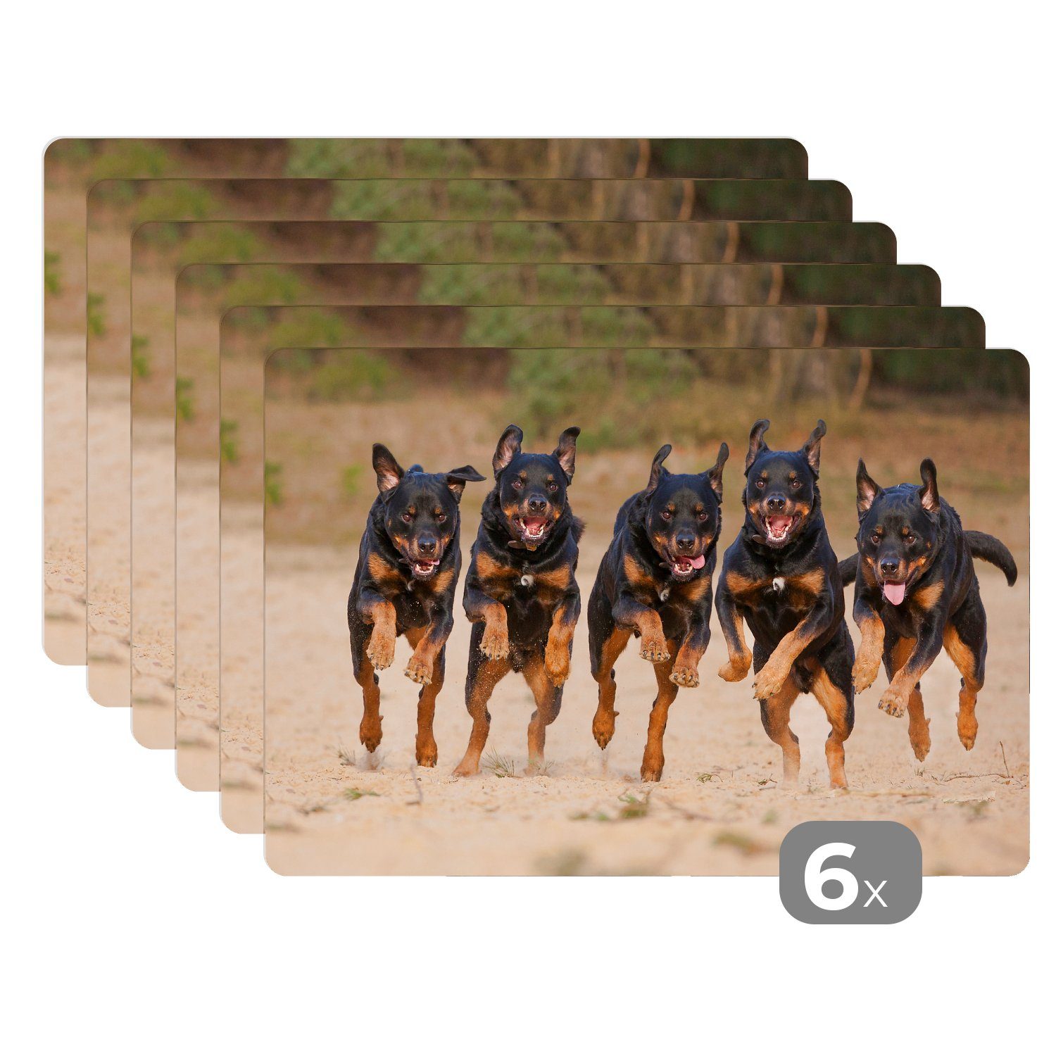 Platzset, In einer Reihe laufende Rottweiler, MuchoWow, (6-St), Platzset, Platzdecken, Platzmatte, Tischmatten, Schmutzabweisend