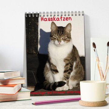 CALVENDO Wandkalender Hauskatzen (Tischkalender 2024 DIN A5 hoch), CALVENDO Monatskalender