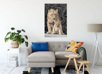 Pixxprint Leinwandbild schöne Löwin mit süßem Jungtier, schöne Löwin mit süßem Jungtier (1 St), Leinwandbild fertig bespannt, inkl. Zackenaufhänger