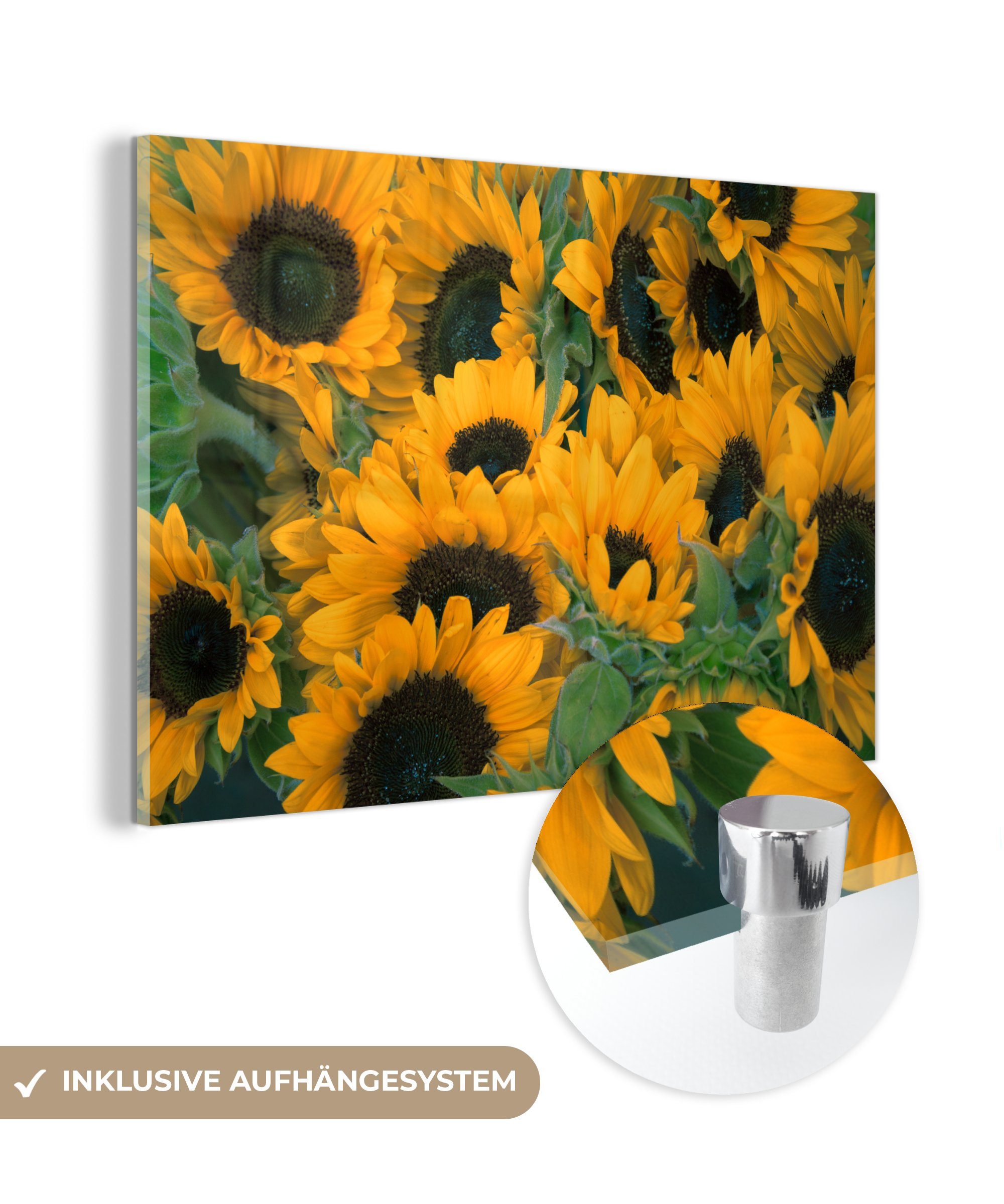 MuchoWow Acrylglasbild Blumen - Sonnenblume - Makro, (1 St), Acrylglasbilder Wohnzimmer & Schlafzimmer