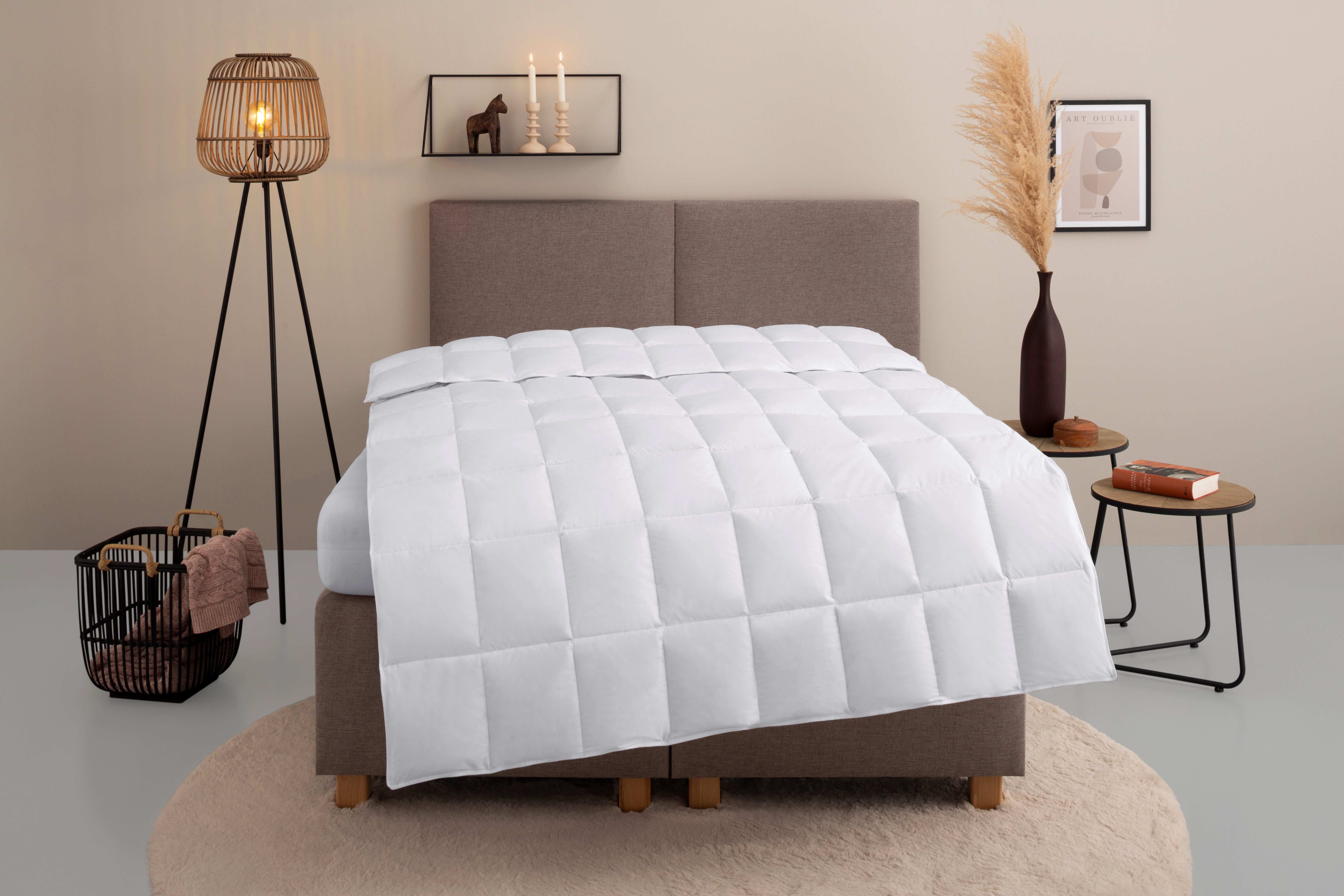 Home affaire Daunenbettdecke "Chevillon Bettdecke 135x200 cm, 155x220 cm un günstig online kaufen