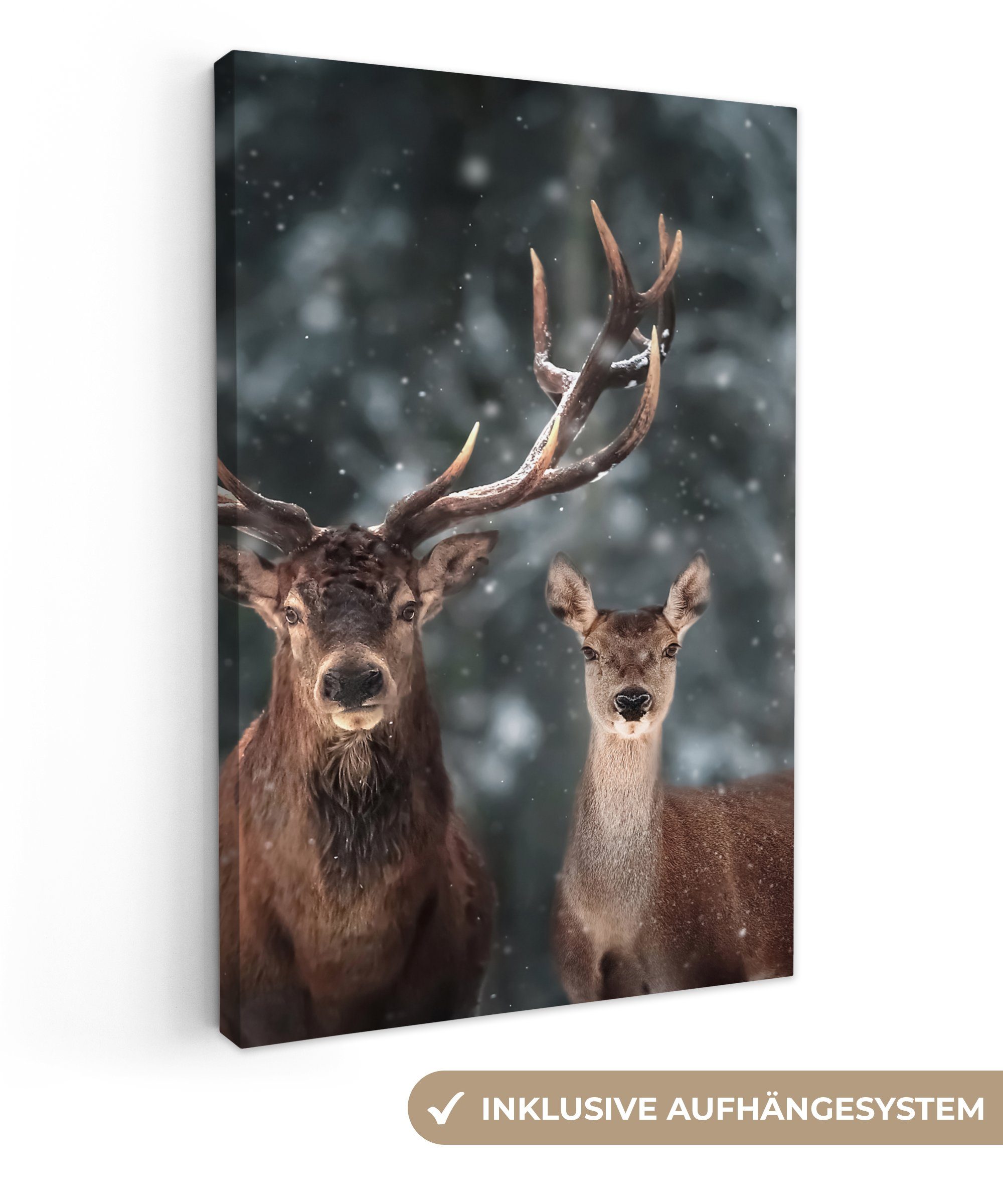 OneMillionCanvasses® Leinwandbild Hirsche - Tiere - Winter - Geweih - Schne günstig online kaufen