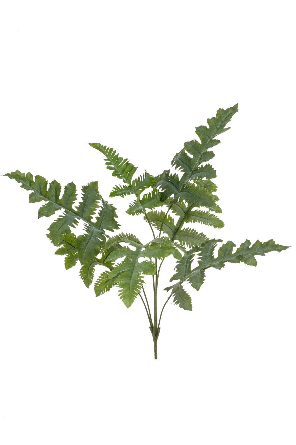 Künstliche Zimmerpflanze Deko Goldtüpfelfarn EYMEN auf Steckstab, grün, 65cm Farn (Goldtüpfelfarn), artplants, Höhe 65.0 cm