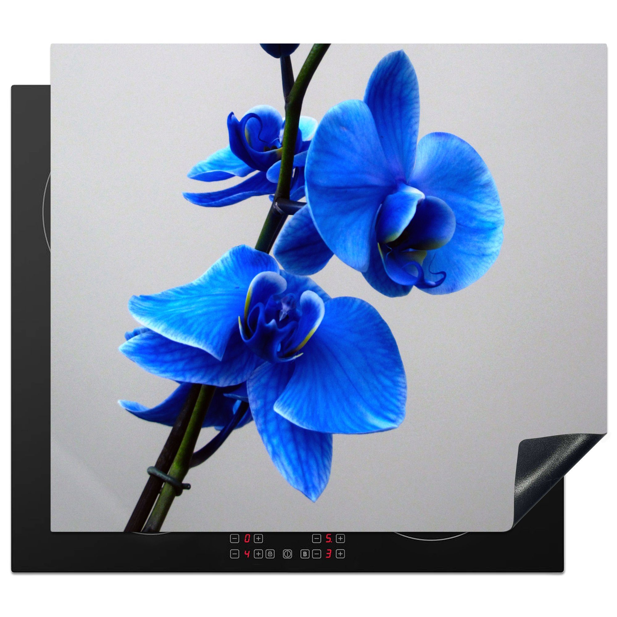 MuchoWow Herdblende-/Abdeckplatte Blaue Orchidee, Vinyl, (1 tlg), 59x51 cm, Induktionsschutz, Induktionskochfeld, Ceranfeldabdeckung