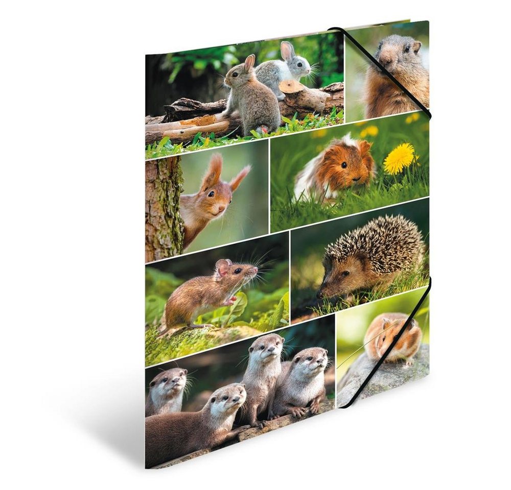 Thumbnail - HERMA Organisationsmappe Sammelmappe A3 Karton Nagetiere