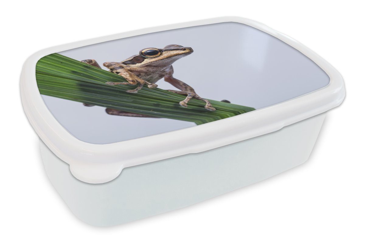MuchoWow Lunchbox Frosch - Palmblatt, Kunststoff, (2-tlg), Brotbox für Kinder und Erwachsene, Brotdose, für Jungs und Mädchen weiß