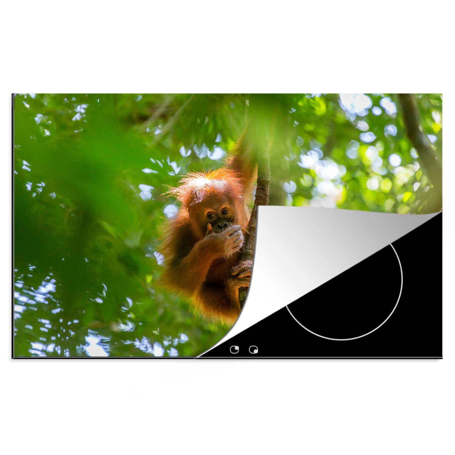 MuchoWow Herdblende-/Abdeckplatte Ein junger Orang-Utan auf einem Baum, Vinyl, (1 tlg), 81x52 cm, Induktionskochfeld Schutz für die küche, Ceranfeldabdeckung