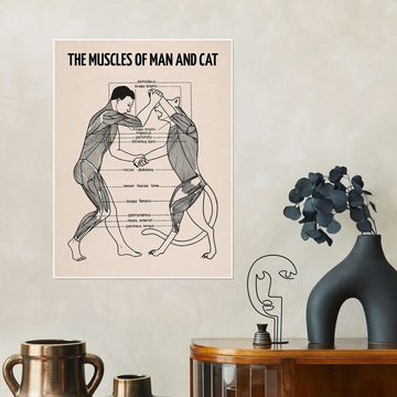 Posterlounge Poster Vintage Educational Collection, Die Muskeln von Mensch und Katze (englisch), Vintage Illustration