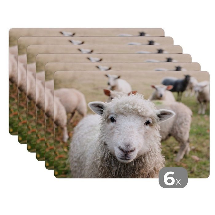 Platzset Tiere - Schafe - Bauernhof MuchoWow (6-St) Platzset Platzdecken Platzmatte Tischmatten Schmutzabweisend