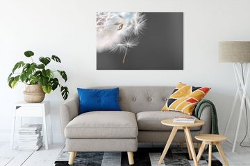 Pixxprint Leinwandbild hübsche Pusteblume, hübsche Pusteblume (1 St), Leinwandbild fertig bespannt, inkl. Zackenaufhänger