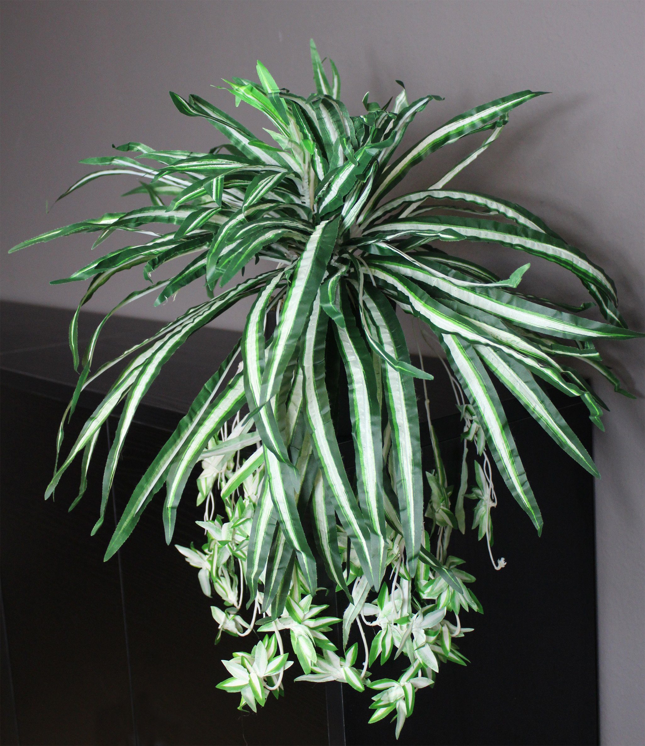Künstliche Zimmerpflanze künstliche Schlangenpflanze mit Hänge-Elemente Topfpflanze Schlangenpflanze, Arnusa, Höhe 30 cm