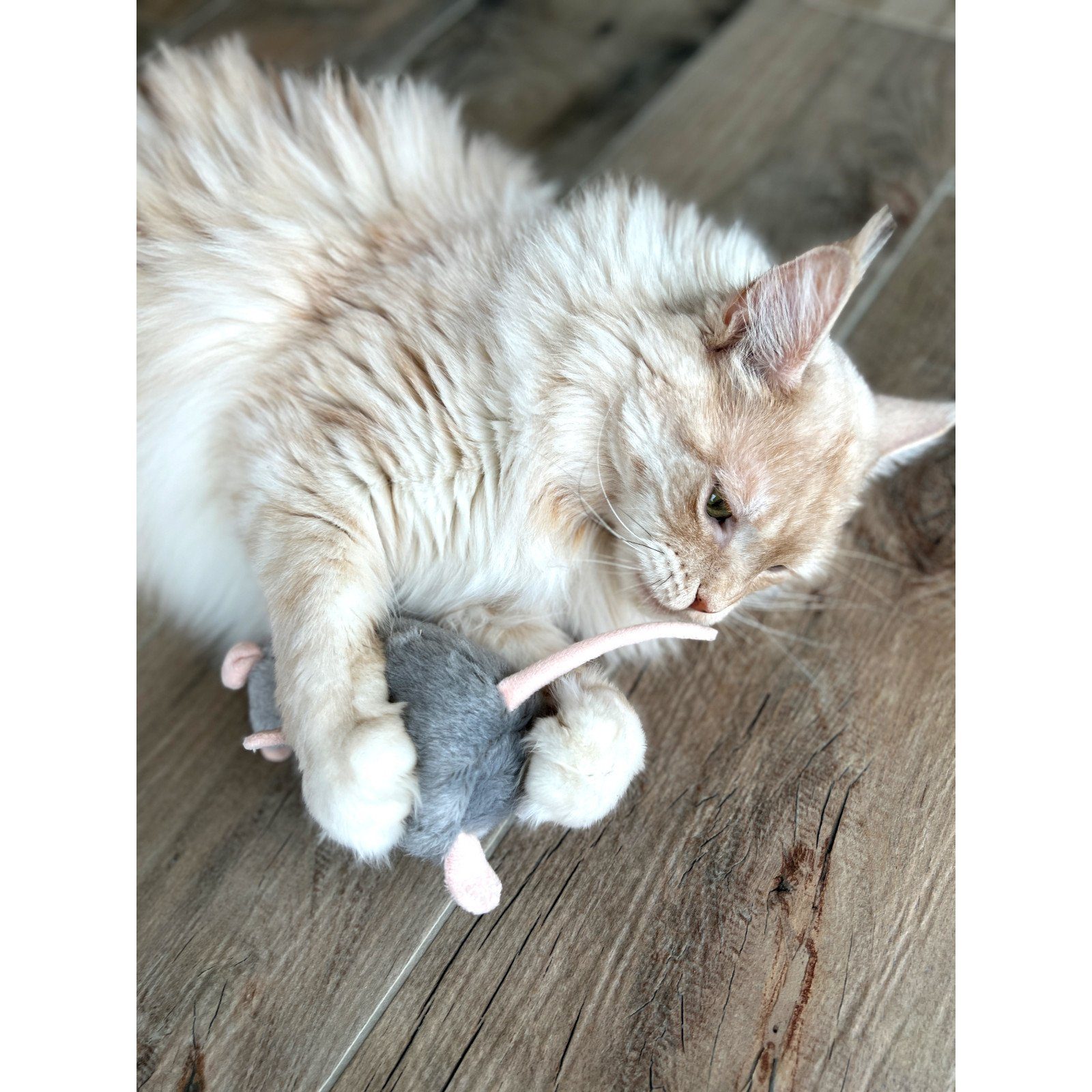 Aumüller Tierkuscheltier Katzenspielzeug Ratte Cedric, 3er Set, Katzenspielkissen mit Baldrian, 100% Polyester (Plüsch)