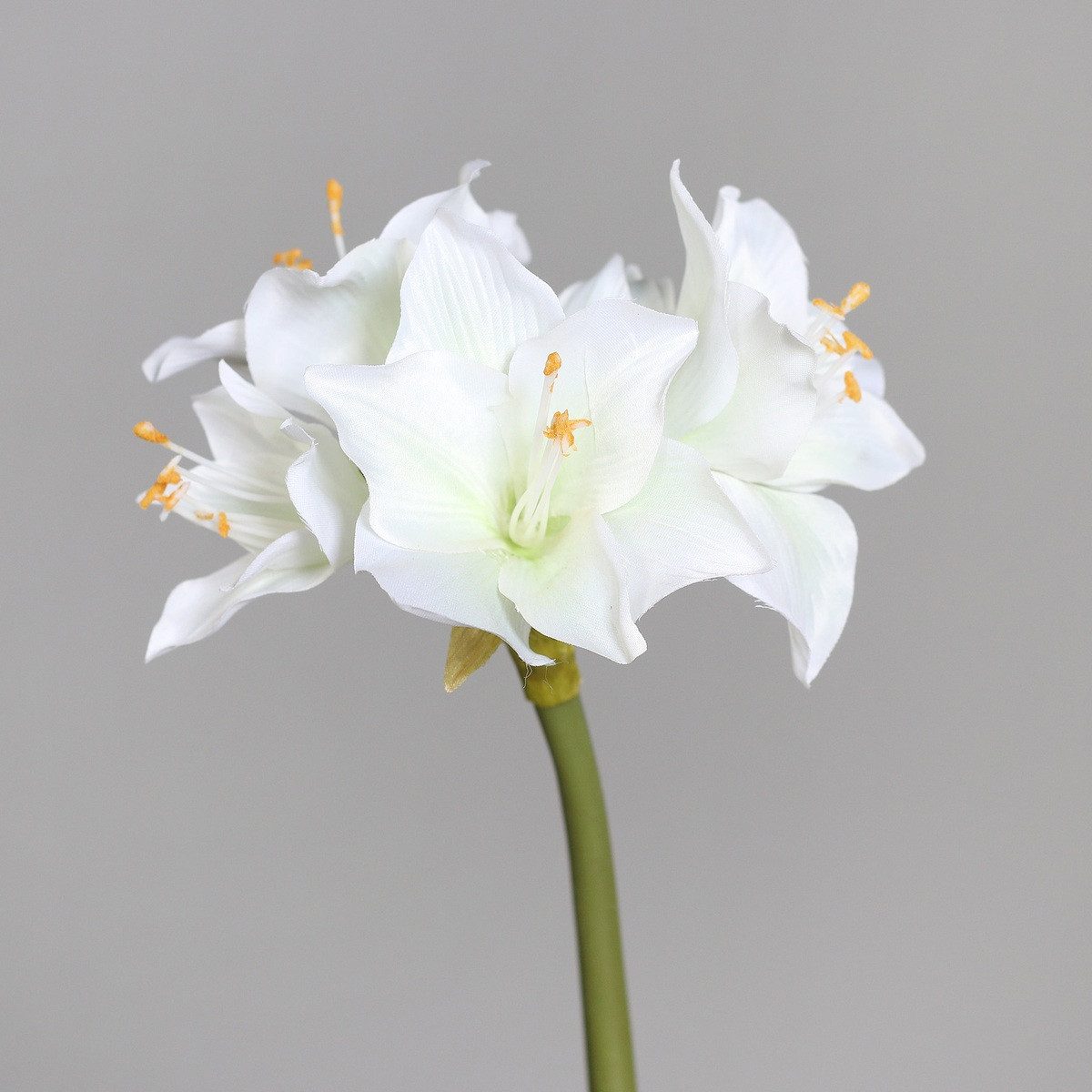 Kunstblume Kunstblume Amaryllis cream 50cm, DPI