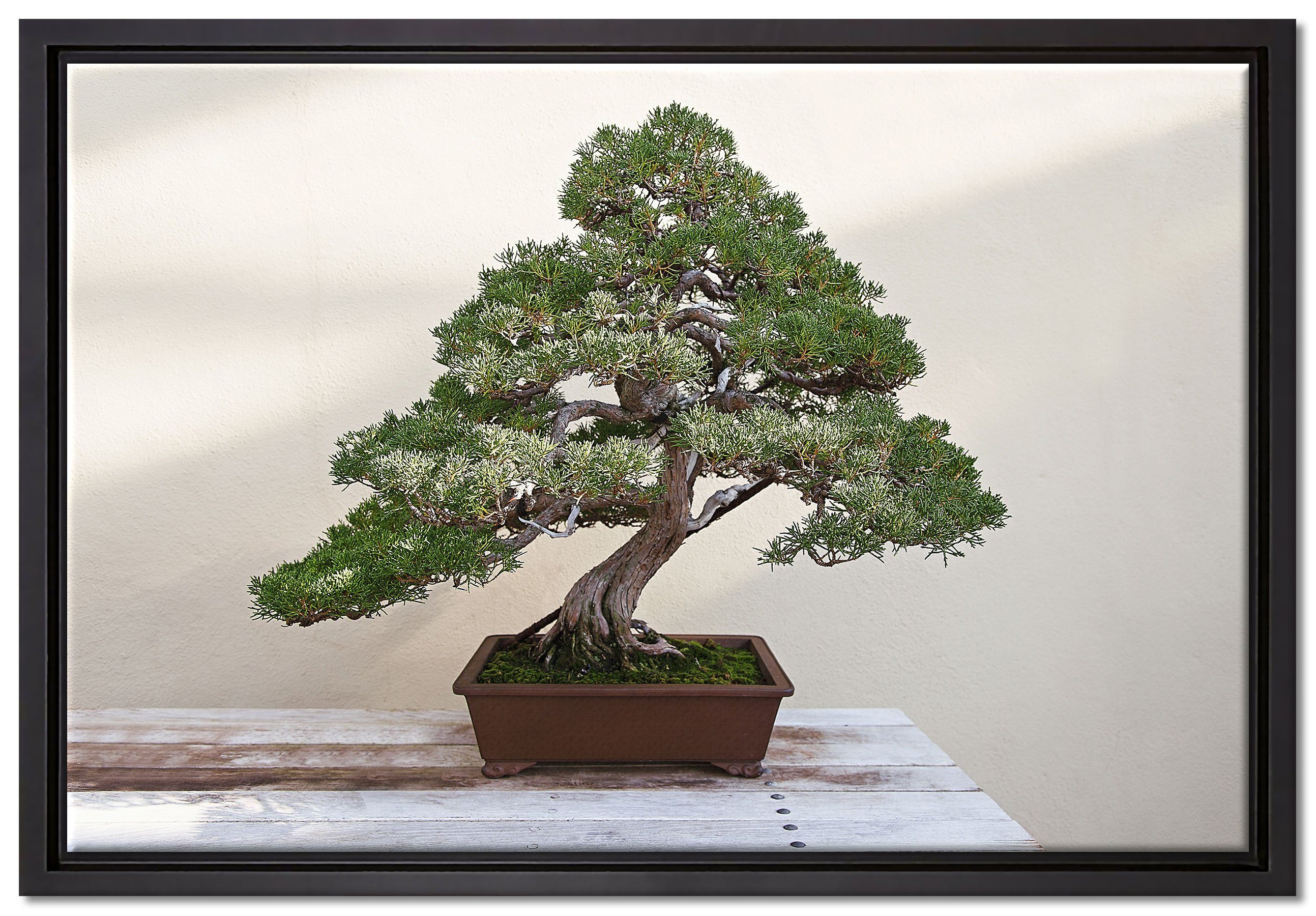 Pixxprint Leinwandbild Bonsai Baum, Wanddekoration (1 St), Leinwandbild fertig bespannt, in einem Schattenfugen-Bilderrahmen gefasst, inkl. Zackenaufhänger
