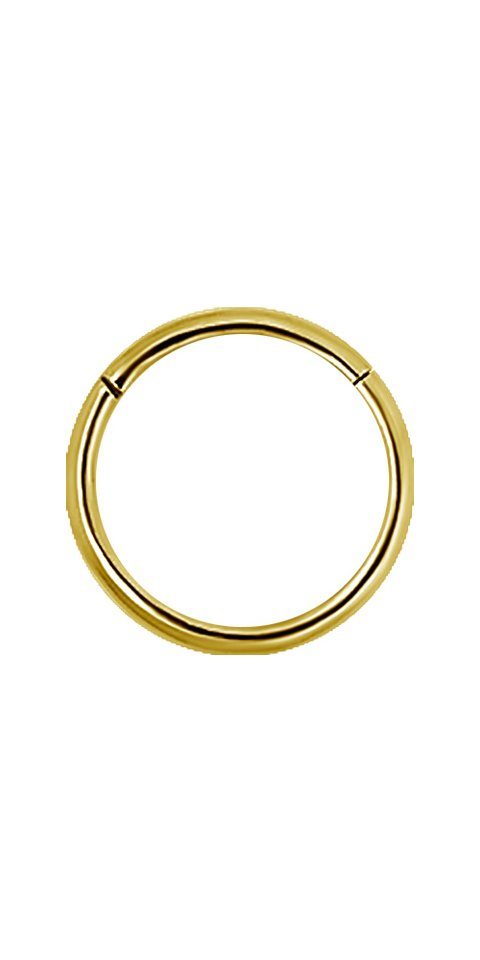 Karisma Nasenpiercing Edelstahl 316L Hinged Segmentring Charnier/Conch Clicker Ring Piercing Ohrring Stärke 1,2mm Farbwahl - 1,2x10mm, Gold