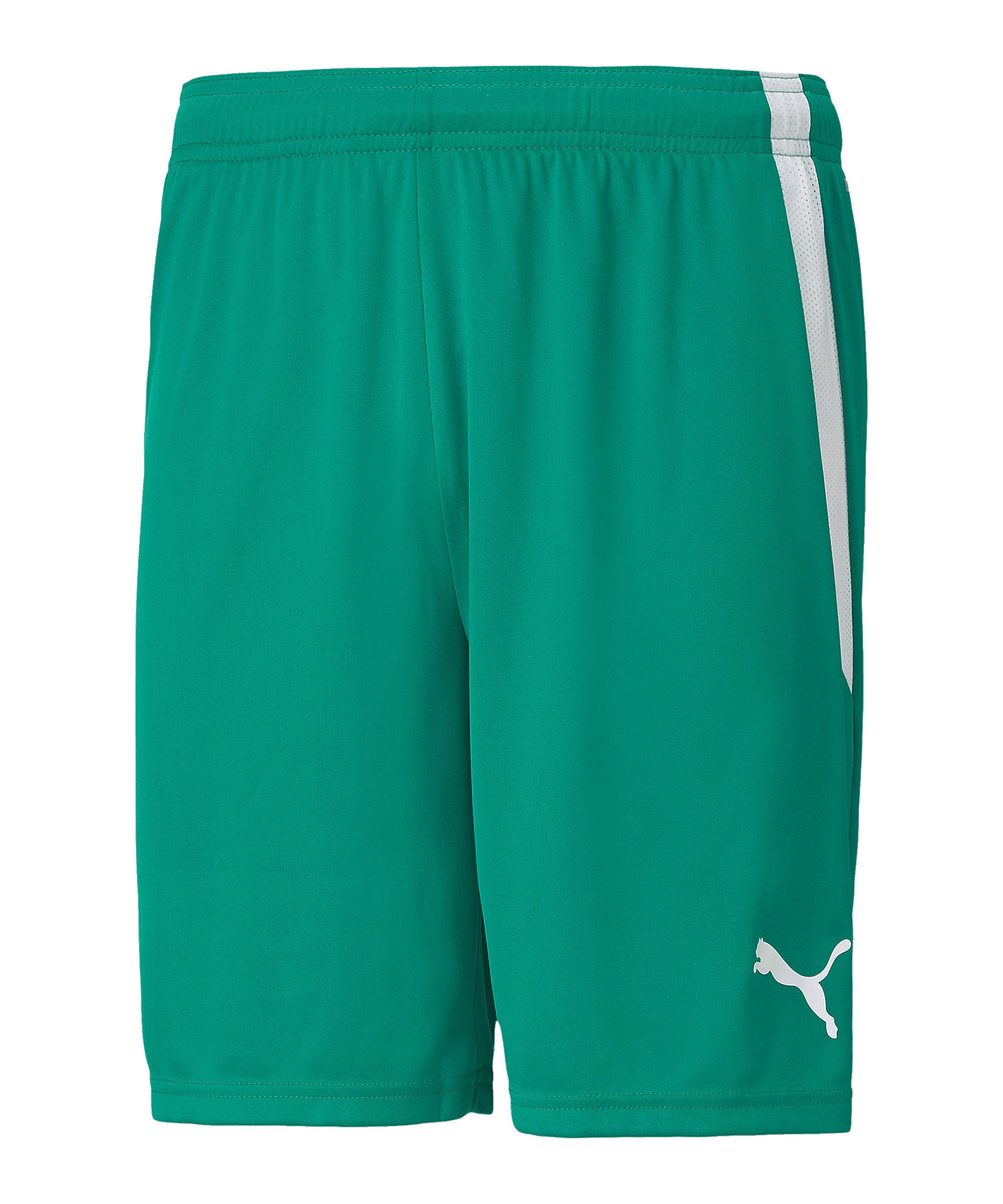 PUMA Sporthose PUMA teamLIGA Short Shorts Herren günstig online kaufen
