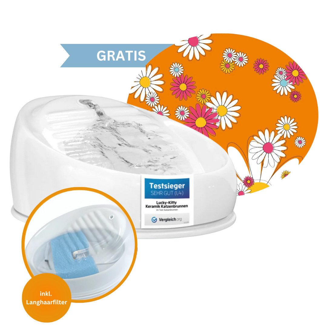 Lucky-Kitty Trinkbrunnen 1,5L Trinknapf aus Keramik im Set mit Pumpe, Filte günstig online kaufen
