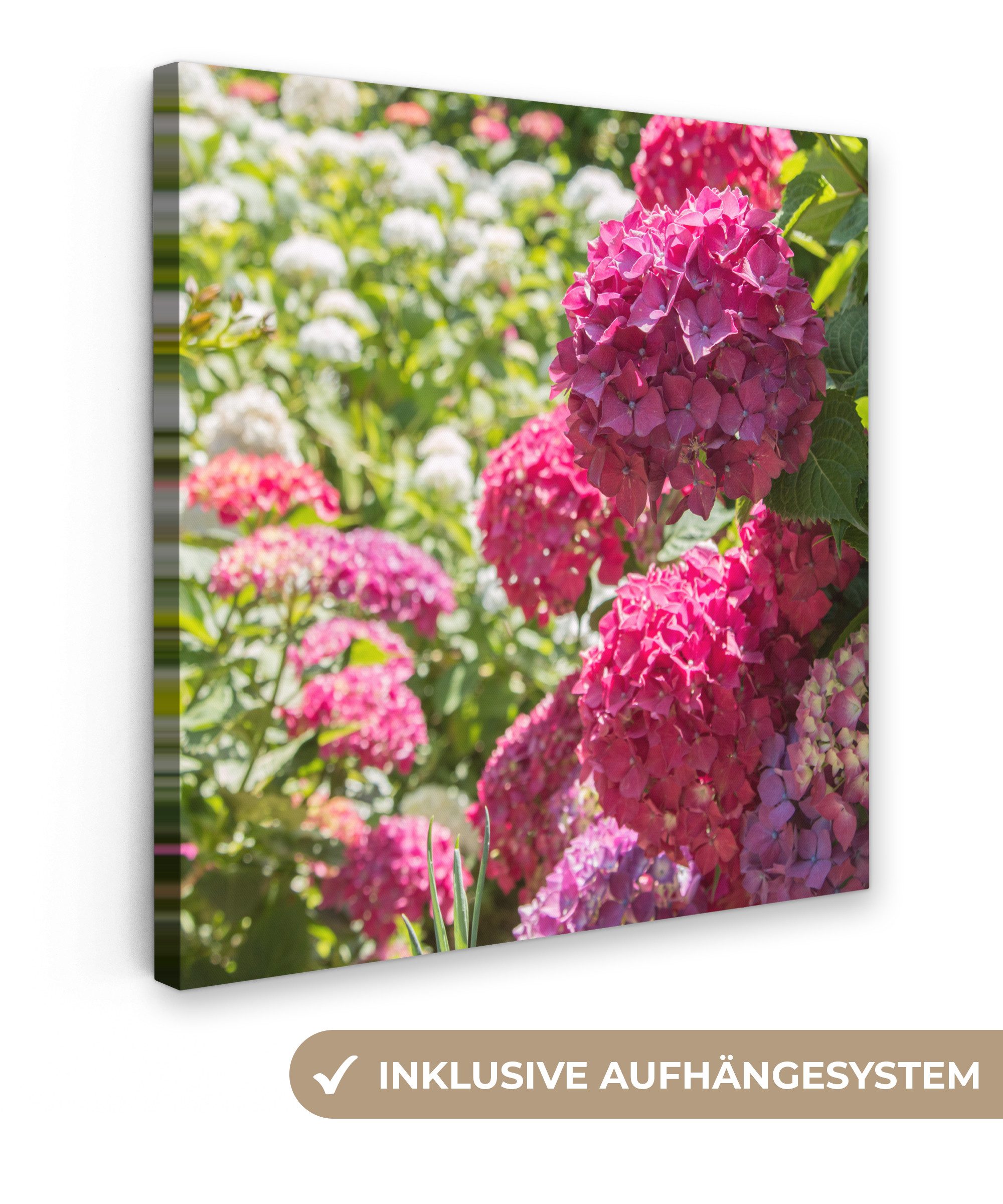 OneMillionCanvasses® Leinwandbild Ein Garten voller rosa und weißer Hortensien, Fotodruck (1 St), Wandbild, Deko Schlafzimmer Wohnzimmer Flur 20x20 cm