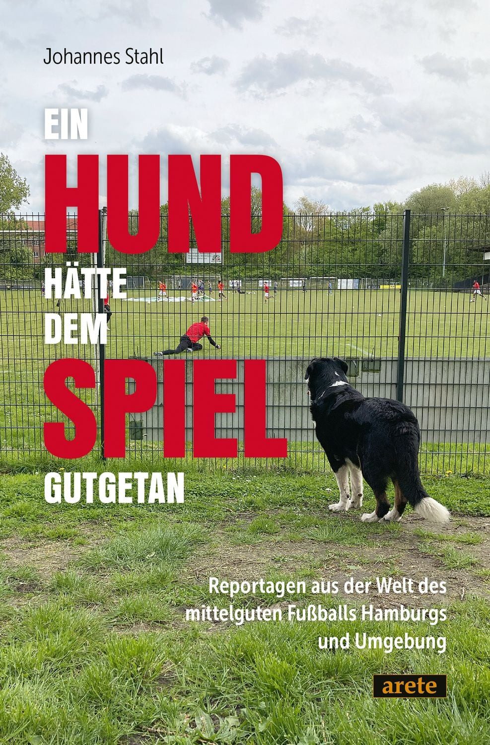 Ein Hund hätte dem Spiel gutgetan / Johannes Stahl
