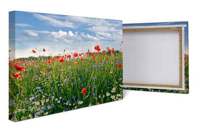 wandmotiv24 Leinwandbild Blumenwiese, Blumen und Pflanzen (1 St), Wandbild, Wanddeko, Leinwandbilder in versch. Größen