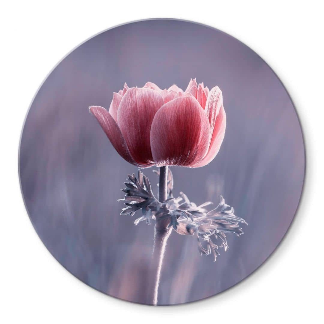 K&L Wall Art Glasbild Glas Wandbild günstig online kaufen