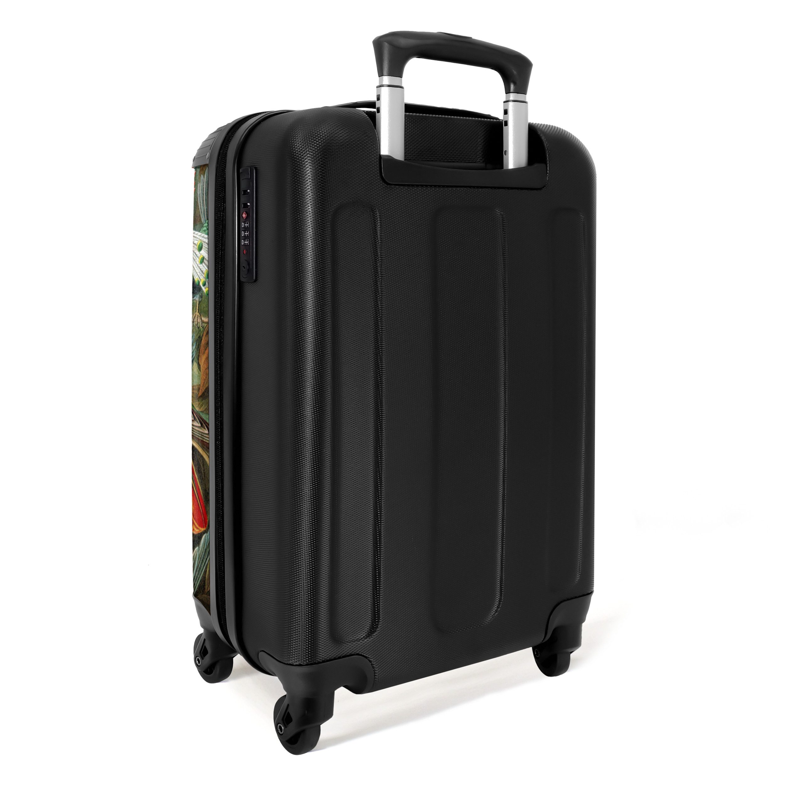 NoBoringSuitcases.com© Hartschalen-Trolley Kunst - Vogel - Alte Meister - Haeckel - Grün 55x35x20cm, Reisetasche mit Rollen, Koffer Handgepäck Flugzeug