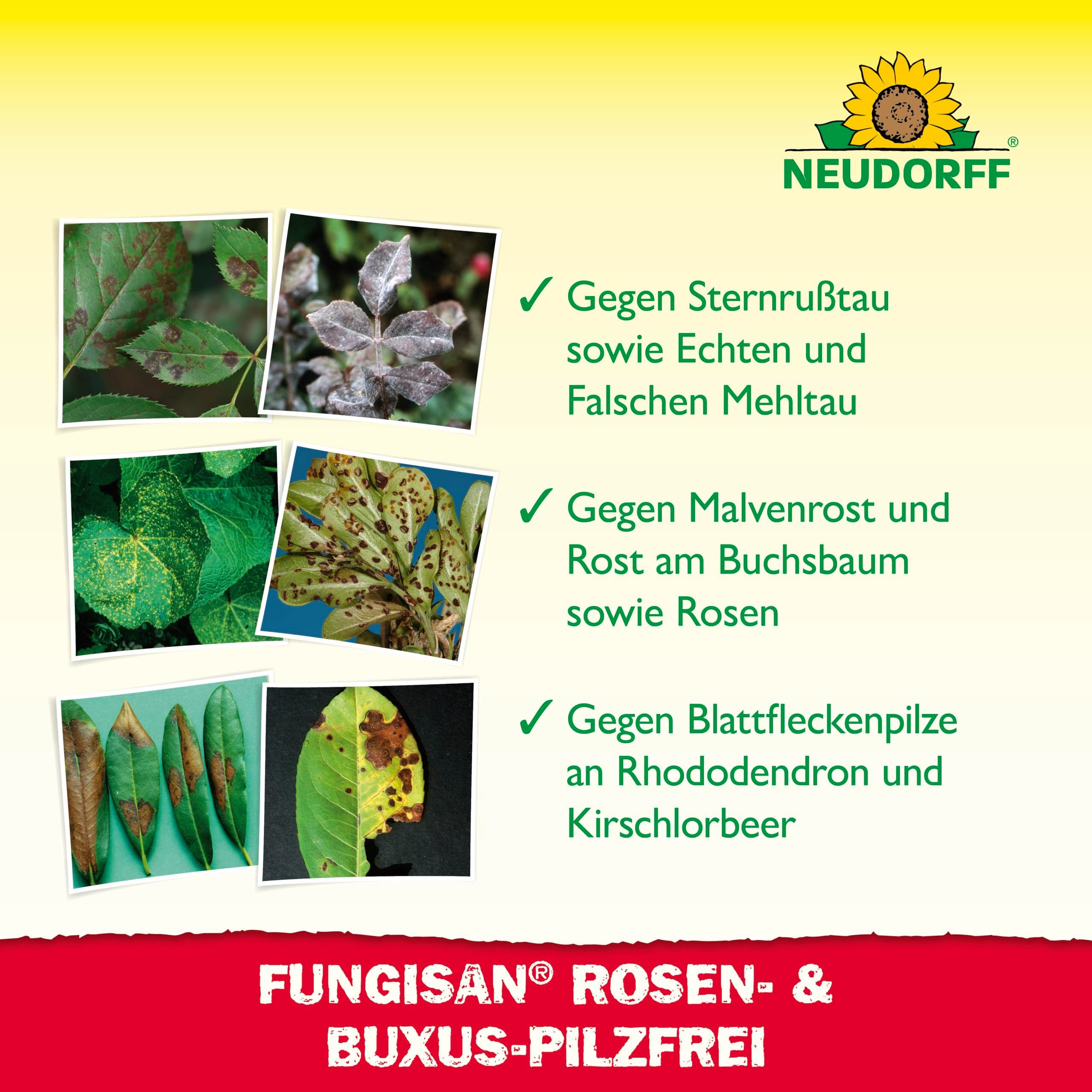 Neudorff Pflanzen-Pilzfrei Fungisan Rosen- und Buxus-Pilzfrei 1 Liter, 1 l, Anwendungsfertiges Spray zur Bekämpfung von Pilzkrankheiten an Rosen, Buxus und Zierpflanzen