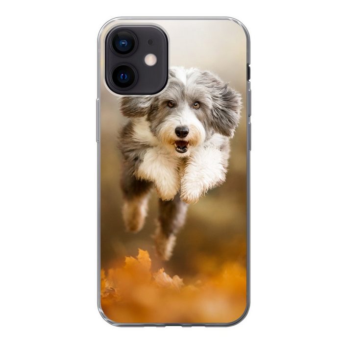 MuchoWow Handyhülle Hund - Laub - Herbst Handyhülle Apple iPhone 12 Smartphone-Bumper Print Handy